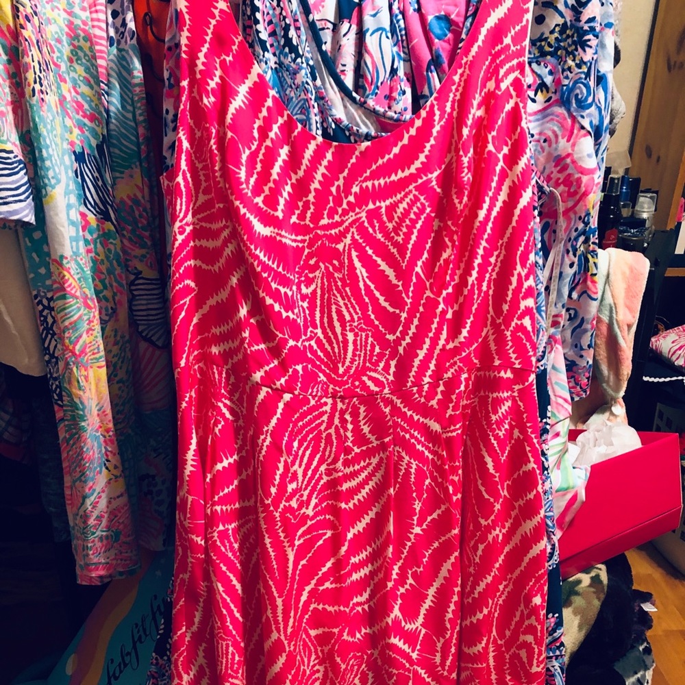 NWT 100% silk Lilly dress